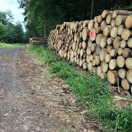 Cozy In With Garden Daire