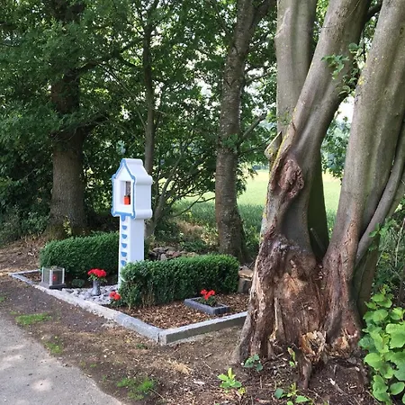 Cozy In With Garden Ellar