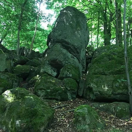 Daire Cozy In With Garden *