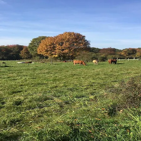 Cozy In With Garden Daire Ellar