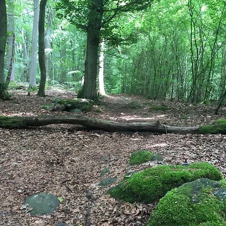 Cozy In With Garden Ellar