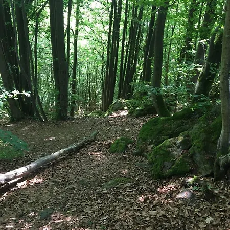 Cozy In With Garden Daire *