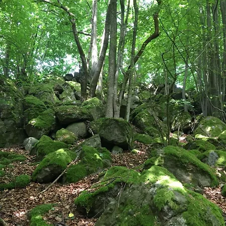 Cozy In With Garden * Ellar