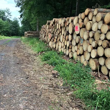 Daire Cozy In With Garden *