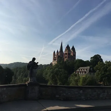 Cozy In With Garden *