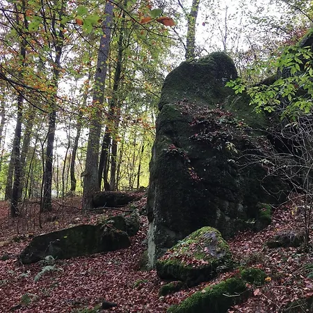 Daire Cozy In With Garden