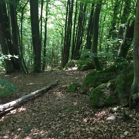 Cozy In With Garden * Ellar