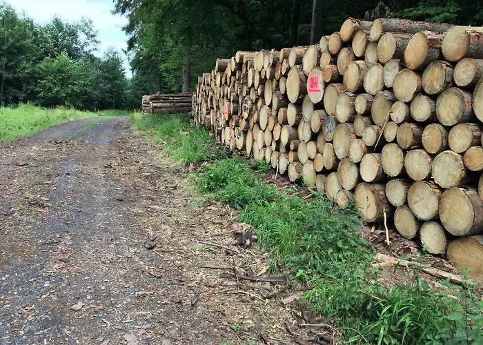 Cozy In With Garden Lägenhet