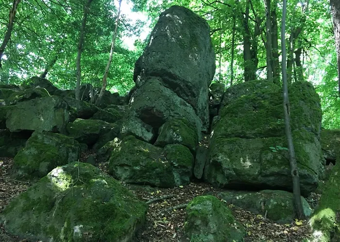 Lägenhet Cozy In With Garden *