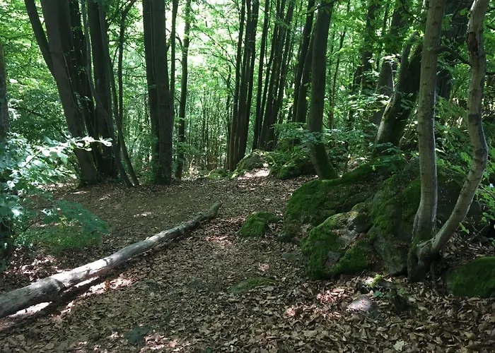 Cozy In With Garden Lägenhet *