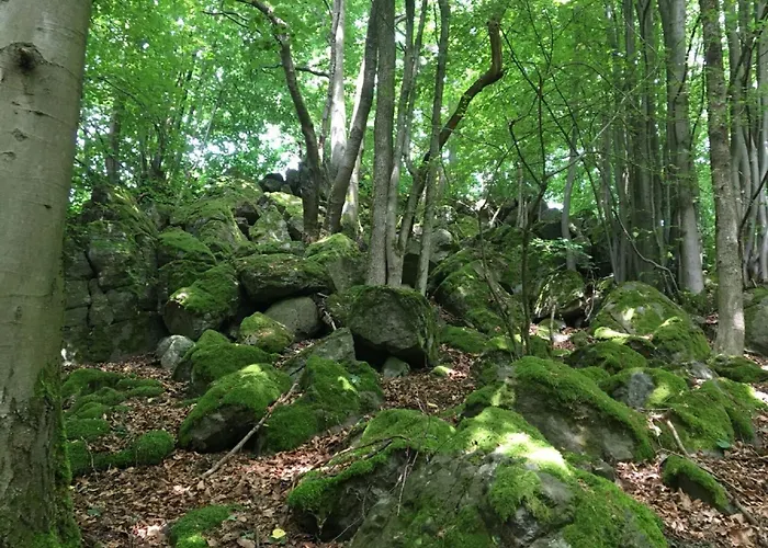 Cozy In With Garden * Ellar