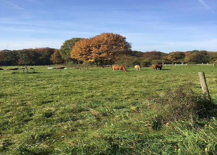 Cozy In With Garden Lägenhet *