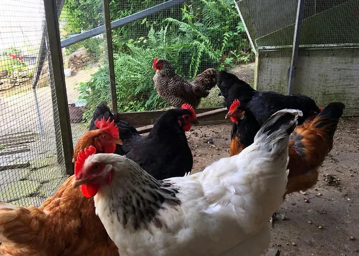 Cozy In With Garden Apartment *