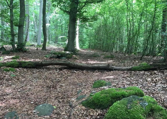 Cozy In With Garden Apartment *